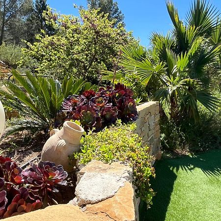 Villa Avec Jacuzzi Sur Les Hauteurs De La Ciotat Ceyreste Exterior foto