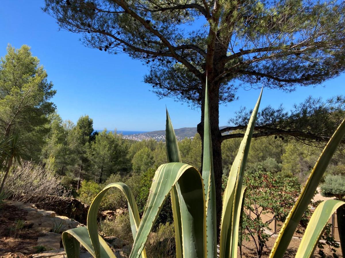Villa Avec Jacuzzi Sur Les Hauteurs De La Ciotat Ceyreste Exterior foto